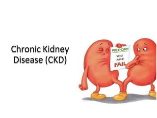 Chronic Kidney
Disease (CKD)
 
