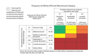 Chronic_kidney_disease_(CKD) PowerPoint [1].pptx