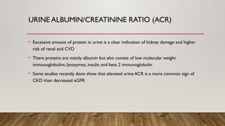 Chronic kidney disease, what is it, diagnosis and treatment | PPTX