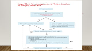 Chronic kidney disease, what is it, diagnosis and treatment | PPTX