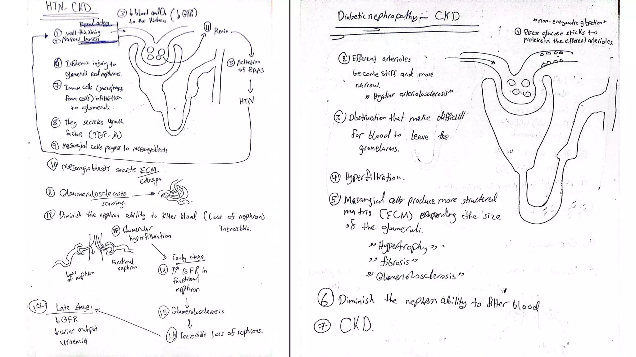 CHRONIC KIDNEY DISEASE & END STAGE RENAL FAILURE | PDF