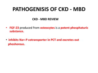 Ckd Mbd Metabolic Bone Disease Pptx