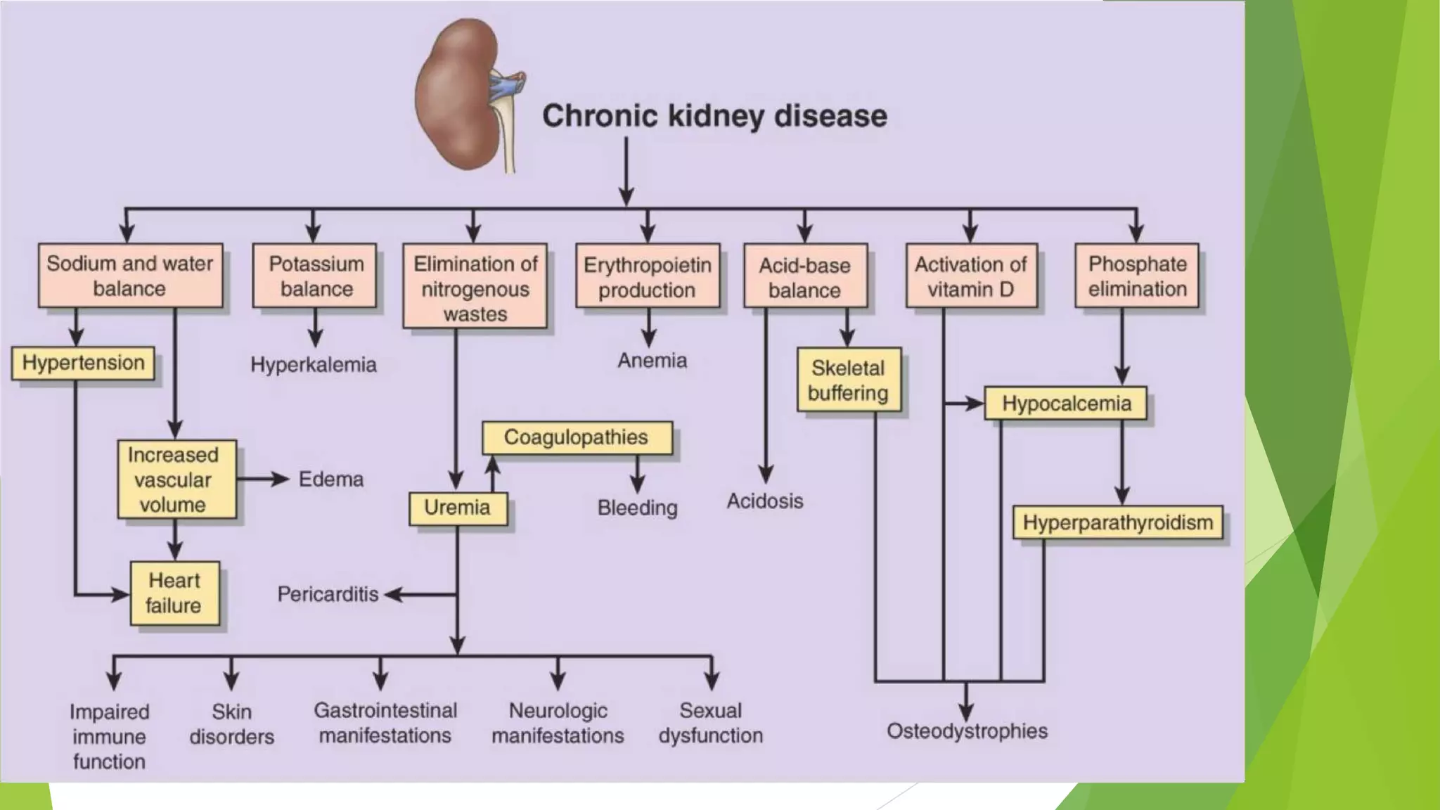 Management of Chronic Kidney Disorder (CKD) | PPTX
