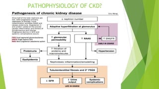 PATHOPHYSIOLOGY OF CKD?
 
