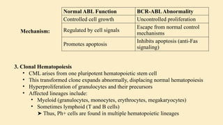 Normal ABL Function BCR-ABLAbnormality
Controlled cell growth Uncontrolled proliferation
Regulated by cell signals
Escape from normal control
mechanisms
Promotes apoptosis
Inhibits apoptosis (anti-Fas
signaling)
Mechanism:
3. Clonal Hematopoiesis
• CML arises from one pluripotent hematopoietic stem cell
• This transformed clone expands abnormally, displacing normal hematopoiesis
• Hyperproliferation of granulocytes and their precursors
• Affected lineages include:
• Myeloid (granulocytes, monocytes, erythrocytes, megakaryocytes)
• Sometimes lymphoid (T and B cells)
Thus, Ph+ cells are found in multiple hematopoietic lineages
➤
 