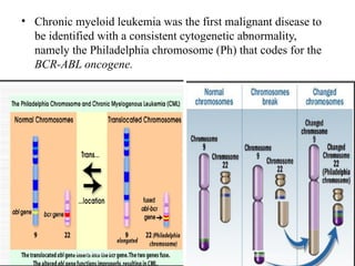 chronic leukemia pathophysiology and chemotherapy | PPTX