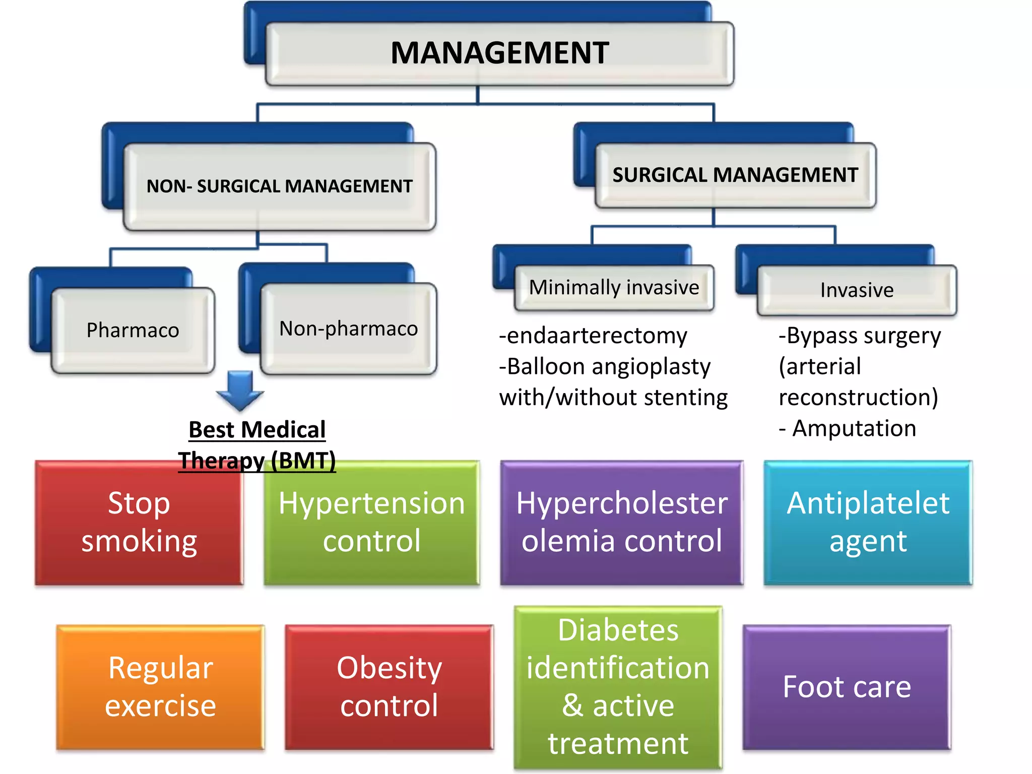 Chronic limb ischemia | PPTX