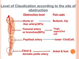 Pain upto
Buttock, hip
Thigh,
upper2/3rd
calf
lower 1/3rdCalf,
Obstruction level
Aorta or
iliac artery(30%)
Femoral artery
or branches(60%)
Tibial &
dorsalis pedis artery
Level of Claudication according to the site of
obstruction
Popliteal artery
Ankel & foot
 