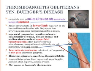 THROMBOANGIITIS OBLITERANS
SYN. BUERGER’S DISEASE
 exclusively seen in males of young age group with
history of smoking.
 Almost always starts in lower limb, may start on one
side and later on the other side. Only upper limb
involvement can occur (not uncommon) but it is rare.
 segmental, progressive, nonatherosclerotic
inflammatory occlusive, disease of small and
medium sized vessels with superficial
thrombophlebitis often may present with
microabscesses, along with neutrophil and giant cell
infiltration, with skip lesions.
 Intermittent claudication in foot and calf progressing
to rest pain, ulceration, gangrene.
 Recurrent migratory superficial thrombophlebitis.
 Absence/feeble pulses distal to proximal; dorsalis pedis,
posterior tibial, popliteal, femoral arteries.
 May present as Raynaud’s phenomenon.
 