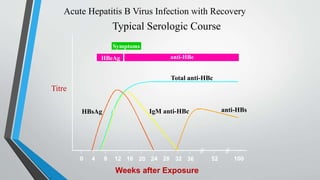 Symptoms
HBeAg anti-HBe
Total anti-HBc
IgM anti-HBc anti-HBs
HBsAg
0 4 8 12 16 20 24 28 32 36 52 100
Acute Hepatitis B Virus Infection with Recovery
Typical Serologic Course
Weeks after Exposure
Titre
 