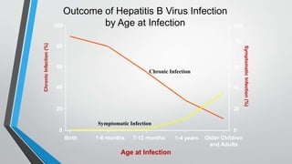 Symptomatic Infection
Chronic Infection
Age at Infection
Symptomatic
Infection
(%)
Birth 1-6 months 7-12 months 1-4 years Older Children
and Adults
0
20
40
60
80
100
100
80
60
40
20
0
Outcome of Hepatitis B Virus Infection
by Age at Infection
Chronic
Infection
(%)
 
