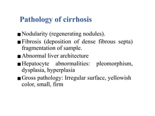 Chronic Liver Disease- Classification, Patholgy & Approch to CLD.pptx