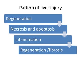 Pattern of liver injury

Degeneration

  Necrosis and apoptosis

    inflammation

      Regeneration /fibrosis
 