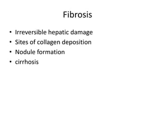 Fibrosis
•   Irreversible hepatic damage
•   Sites of collagen deposition
•   Nodule formation
•   cirrhosis
 