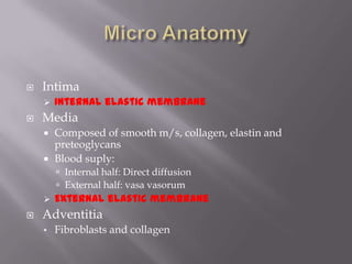  Intima
 Internal elastic membrane
 Media
 Composed of smooth m/s, collagen, elastin and
preteoglycans
 Blood suply:
 Internal half: Direct diffusion
 External half: vasa vasorum
 External elastic membrane
 Adventitia
• Fibroblasts and collagen
 