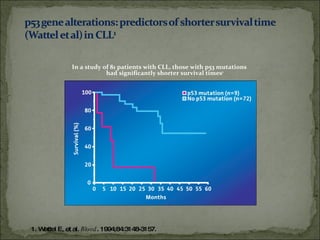 In a study of 81 patients with CLL, those with p53 mutations  had significantly shorter survival times 1 1. Wattel E, et al.  Blood . 1994;84:3148-3157. 