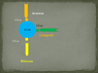 B Cell CD 20 Rituxan CD 56 CD 20 Arzerra Campath 
