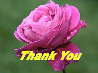 Chronic lymphocytic leukemia