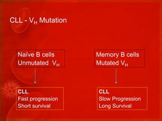 Chronic lymphocytic leukemia | PPTX