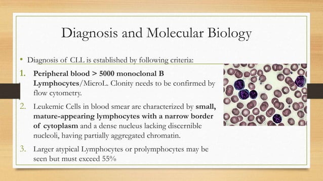 Chronic Lymphocytic Leukemia (CLL) | PPTX