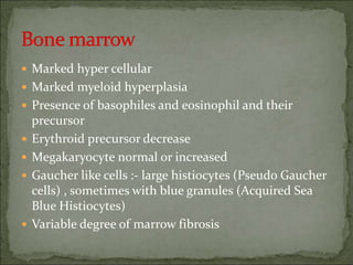  Marked hyper cellular
 Marked myeloid hyperplasia
 Presence of basophiles and eosinophil and their
precursor
 Erythroid precursor decrease
 Megakaryocyte normal or increased
 Gaucher like cells :- large histiocytes (Pseudo Gaucher
cells) , sometimes with blue granules (Acquired Sea
Blue Histiocytes)
 Variable degree of marrow fibrosis
 