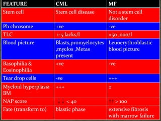 FEATURE CML MF
Stem cell Stem cell disease Not a stem cell
disorder
Ph chrosome +ve -ve
TLC 1-5 lacks/l <50 ,000/l
Blood picture Blasts,promyelocytes
,myelos ,Metas
present
Leuoerythroblastic
blood picture
Basophilia &
Eosinophilia
+ve -ve
Tear drop cells -ve +++
Myeloid hyperplasia
BM
+++ ±
NAP score < 40 > 100
Fate (transform to) blastic phase extensive fibrosis
with marrow failure
 