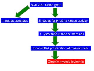BCR-ABL fusion gene
Impedes apoptosis Encodes for tyrosine kinase activity
↑ Tyrosinase kinase of stem cell
Uncontrolled proliferation of myeloid cells
Chronic myeloid leukemia
 