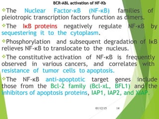 BCR–ABL activation of NF-ΚbBCR–ABL activation of NF-Κb
The Nuclear Factor-κB (NF-κB) families of
pleiotropic transcription factors function as dimers.
The IκB proteins negatively regulate NF-κB by
sequestering it to the cytoplasm.
Phosphorylation and subsequent degradation of IκB
relieves NF-κB to translocate to the nucleus.
The constitutive activation of NF-κB is frequently
observed in various cancers, and correlates with
resistance of tumor cells to apoptosis.
The NF-κB anti-apoptotic target genes include
those from the Bcl-2 family (Bcl-xL, BFL1) and the
inhibitors of apoptosis proteins, IAP1, IAP2, and XIAP.
01/12/15 14
 
