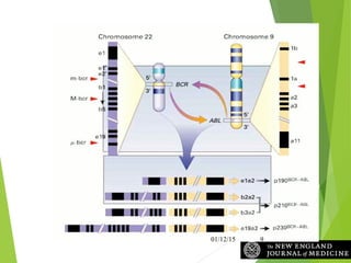 Faderl, S. et al. N Engl J Med 1999;341:164-172
The Translocation of t(9;22)(q34;q11) in CML
01/12/15 9
 