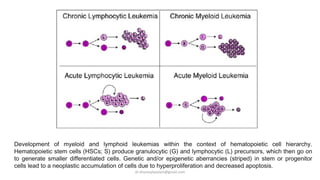 Development of myeloid and lymphoid leukemias within the context of hematopoietic cell hierarchy.
Hematopoietic stem cells...