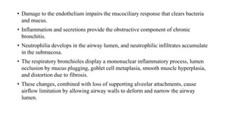 • Damage to the endothelium impairs the mucociliary response that clears bacteria
and mucus.
• Inflammation and secretions provide the obstructive component of chronic
bronchitis.
• Neutrophilia develops in the airway lumen, and neutrophilic infiltrates accumulate
in the submucosa.
• The respiratory bronchioles display a mononuclear inflammatory process, lumen
occlusion by mucus plugging, goblet cell metaplasia, smooth muscle hyperplasia,
and distortion due to fibrosis.
• These changes, combined with loss of supporting alveolar attachments, cause
airflow limitation by allowing airway walls to deform and narrow the airway
lumen.
 