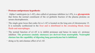 • Protease-antiprotease hypothesis:
• Alpha-1-antitrypsin (α-1-AT), also called α1-protease inhibitor (α-1-Pi), is a glycoprotein
that forms the normal constituent of the α1-globulin fraction of the plasma proteins on
serum electrophoresis.
• The single gene locus that codes for α-1-AT is located on the long arm of chromosome 15.
It is normally synthesized in the liver and is distributed in the circulating blood, tissue
fluids and macrophages.
• The normal function of α1-AT is to inhibit proteases and hence its name α1- protease
inhibitor. The proteases (mainly elastases) are derived from neutrophils. Neutrophil
elastase has the capability of digesting lung parenchyma but is inhibited.
• doing so by anti-elastase effect of α1-AT.
 
