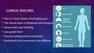 CLINICAL FEATURES
• One or more sinuses discharging pus
• The whole bone is thickened and irregular
• Severe pain and swelling
• Low grade fever
• Muscle wasting and contractures
• Restricted joint movement and stiffness
 