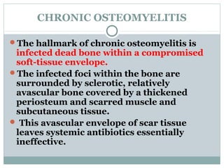 CHRONIC OSTEOMYELITIS
The hallmark of chronic osteomyelitis is
infected dead bone within a compromised
soft-tissue envelope.
The infected foci within the bone are
surrounded by sclerotic, relatively
avascular bone covered by a thickened
periosteum and scarred muscle and
subcutaneous tissue.
 This avascular envelope of scar tissue
leaves systemic antibiotics essentially
ineffective.
 