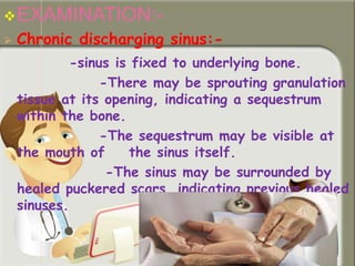 EXAMINATION:-
 Chronic discharging sinus:-
-sinus is fixed to underlying bone.
-There may be sprouting granulation
tissue at its opening, indicating a sequestrum
within the bone.
-The sequestrum may be visible at
the mouth of the sinus itself.
-The sinus may be surrounded by
healed puckered scars, indicating previous healed
sinuses.
 