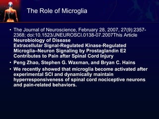 The Role of Microglia
• The Journal of Neuroscience, February 28, 2007, 27(9):2357-
2368; doi:10.1523/JNEUROSCI.0138-07.2007This Article
Neurobiology of Disease
Extracellular Signal-Regulated Kinase-Regulated
Microglia–Neuron Signaling by Prostaglandin E2
Contributes to Pain after Spinal Cord Injury
• Peng Zhao, Stephen G. Waxman, and Bryan C. Hains
• We recently showed that microglia become activated after
experimental SCI and dynamically maintain
hyperresponsiveness of spinal cord nociceptive neurons
and pain-related behaviors.
 