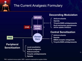 Dorsal
Horn
BRAIN
The Current Analgesic Formulary
Descending Modulation
Peripheral
Sensitization
Central Sensitization
PNS
Local anesthetics
Topical analgesics
Anticonvulsants
Tricyclic antidepressants
Opioids
Anticonvulsants
Opioids
NMDA-receptor antagonists
Tricyclic/SNRI antidepressants
Anticonvulsants
Opioids
Tricyclic/SNRI antidepressants
Dual mechanism opioid/mono-
amine uptake inhbitors
SPINAL
CORD
CNS
15
PNS = peripheral nervous system. SNRI = serotonin-norepinephrine reuptake inhibitor.
 