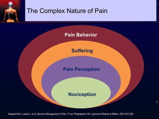 Adapted from: Loeser J, et al. Bonica's Management of Pain. 3rd ed. Philadelphia, PA: Lippincott Williams & Wilkins. 2001;241-254.
Nociception
Pain Perception
Suffering
Pain Behavior
The Complex Nature of Pain
3
 