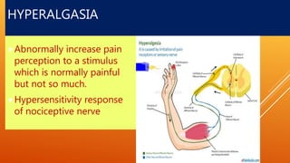 HYPERALGASIA
Abnormally increase pain
perception to a stimulus
which is normally painful
but not so much.
Hypersensitivity response
of nociceptive nerve
 