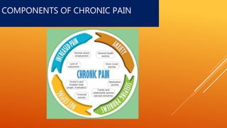 COMPONENTS OF CHRONIC PAIN
 