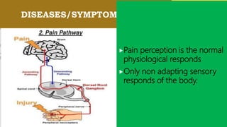 DISEASES/SYMPTOM?
Pain perception is the normal
physiological responds
Only non adapting sensory
responds of the body.
 
