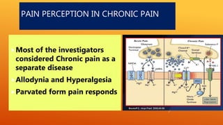 PAIN PERCEPTION IN CHRONIC PAIN
Most of the investigators
considered Chronic pain as a
separate disease
Allodynia and Hyperalgesia
Parvated form pain responds
 