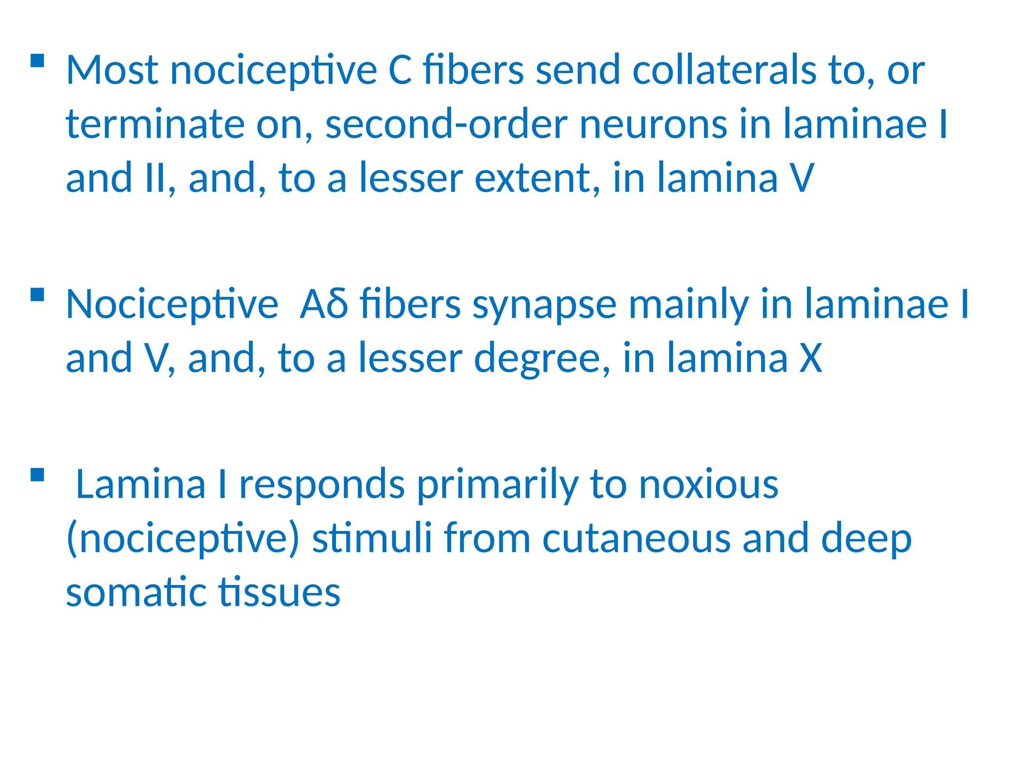  Most nociceptive C fibers send collaterals to, or
terminate on, second-order neurons in laminae I
and II, and, to a lesser extent, in lamina V
 Nociceptive Aδ fibers synapse mainly in laminae I
and V, and, to a lesser degree, in lamina X
 Lamina I responds primarily to noxious
(nociceptive) stimuli from cutaneous and deep
somatic tissues
 