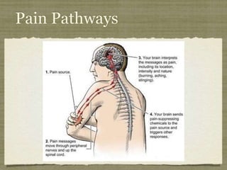 Navigate Pain Managing the Difficult Condition of Chronic Pain | PDF