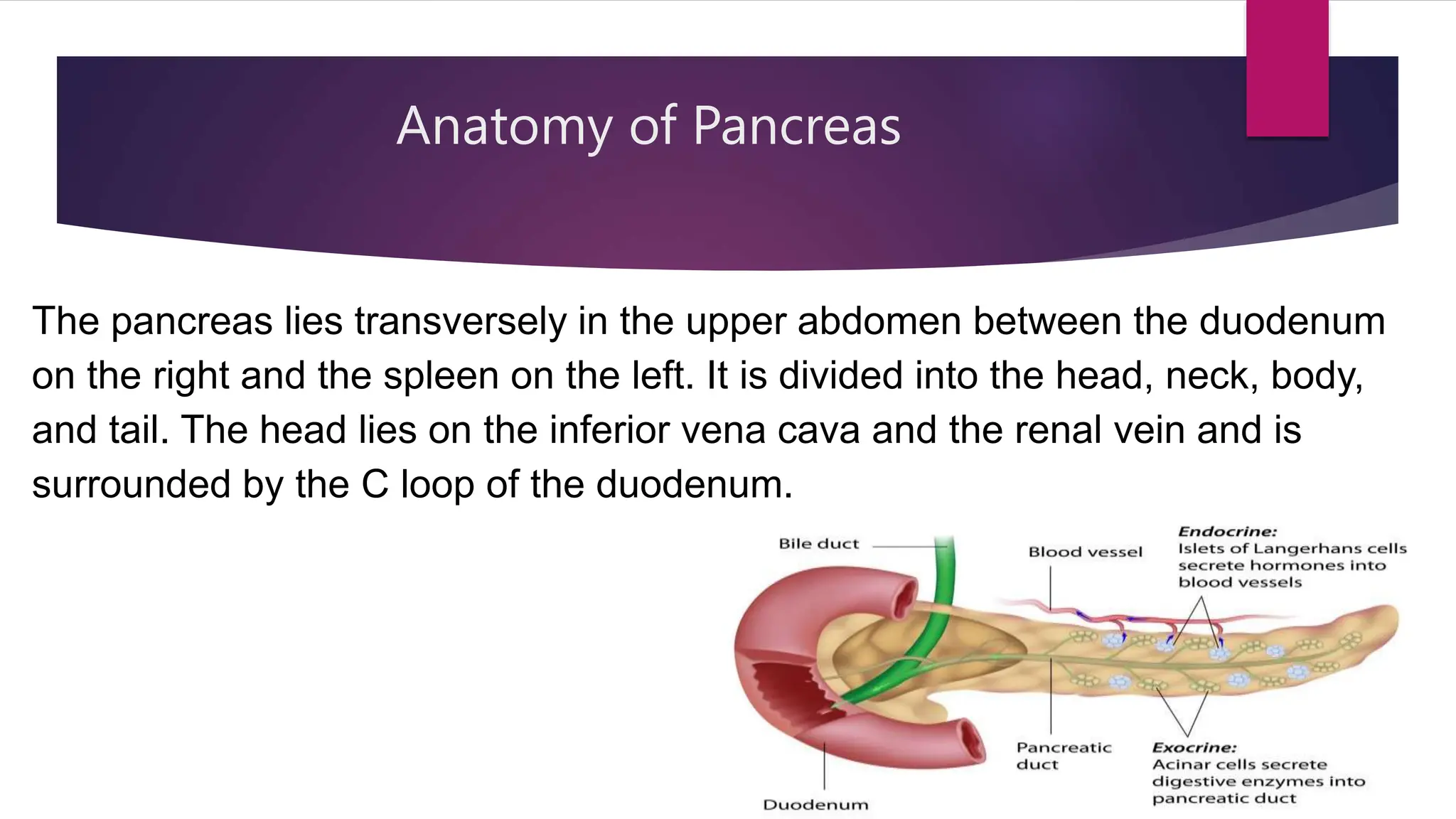Chronic Pancreatitis: Understanding Causes, Symptoms, Diagnosis, and ...