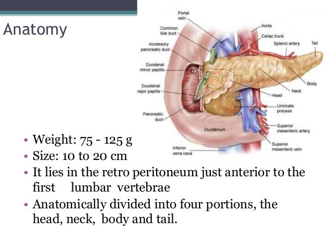 chronic pancreatitis pancreas size