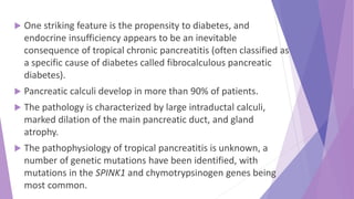  One striking feature is the propensity to diabetes, and
endocrine insufficiency appears to be an inevitable
consequence of tropical chronic pancreatitis (often classified as
a specific cause of diabetes called fibrocalculous pancreatic
diabetes).
 Pancreatic calculi develop in more than 90% of patients.
 The pathology is characterized by large intraductal calculi,
marked dilation of the main pancreatic duct, and gland
atrophy.
 The pathophysiology of tropical pancreatitis is unknown, a
number of genetic mutations have been identified, with
mutations in the SPINK1 and chymotrypsinogen genes being
most common.
 