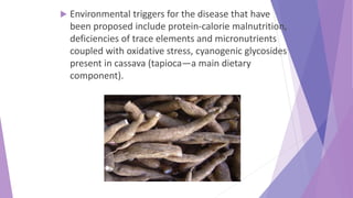  Environmental triggers for the disease that have
been proposed include protein-calorie malnutrition,
deficiencies of trace elements and micronutrients
coupled with oxidative stress, cyanogenic glycosides
present in cassava (tapioca—a main dietary
component).
 