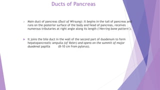 Ducts of Pancreas
 Main duct of pancreas (Duct of Wirsung): It begins in the tail of pancreas and
runs on the posterior surface of the body and head of pancreas, receives
numerous tributaries at right angle along its length (‘Herring bone pattern’).
 It joins the bile duct in the wall of the second part of duodenum to form
hepatopancreatic ampulla (of Vater) and opens on the summit of major
duodenal papilla (8-10 cm from pylorus).
 