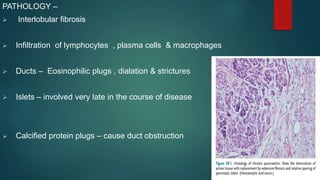 PATHOLOGY –
 Interlobular fibrosis
 Infiltration of lymphocytes , plasma cells & macrophages
 Ducts – Eosinophilic plugs , dialation & strictures
 Islets – involved very late in the course of disease
 Calcified protein plugs – cause duct obstruction
 